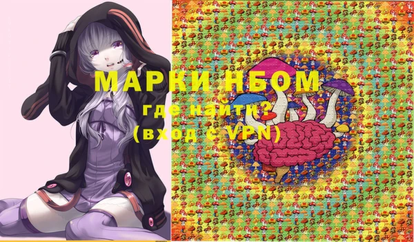 шишки Кинешма